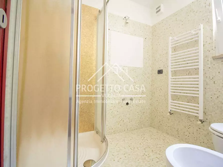 Immagine 49 di Casa indipendente in vendita  in via vespucci a Viareggio