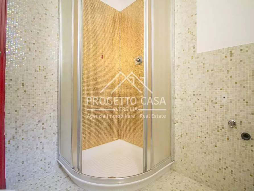 Immagine 52 di Casa indipendente in vendita  in via vespucci a Viareggio