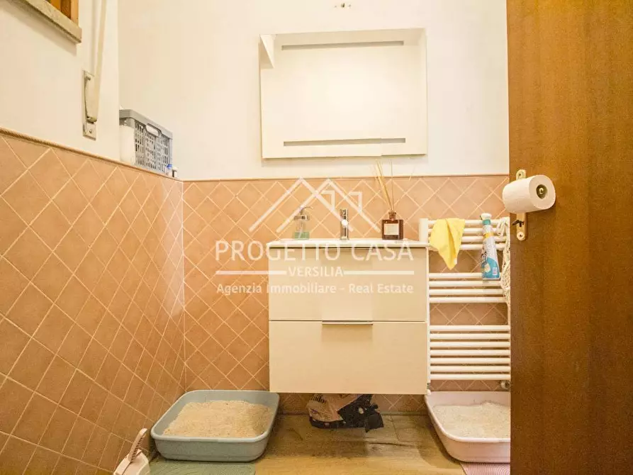 Immagine 23 di Casa indipendente in vendita  in VIA DELLE ACACIE a Viareggio