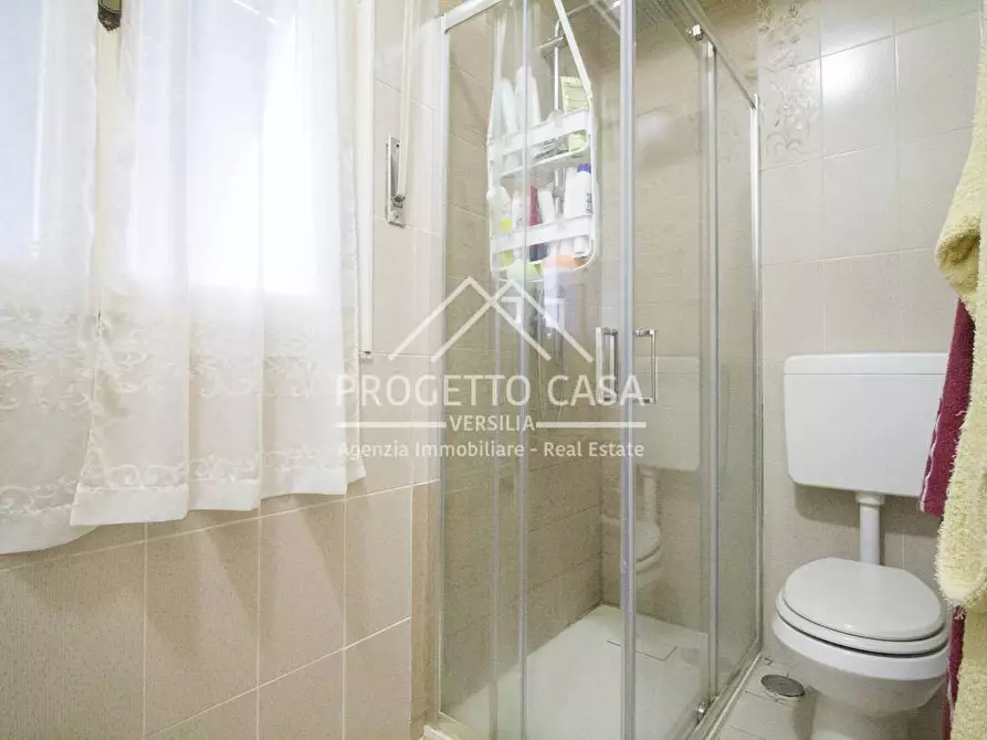 Immagine 24 di Appartamento in vendita  in VIA GOLDORA a Pietrasanta