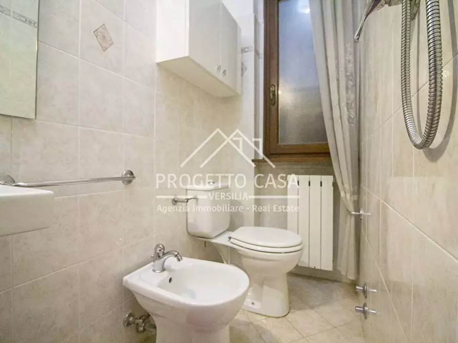 Immagine 19 di Casa indipendente in vendita  in VIA LELIO GIUSTI a Viareggio