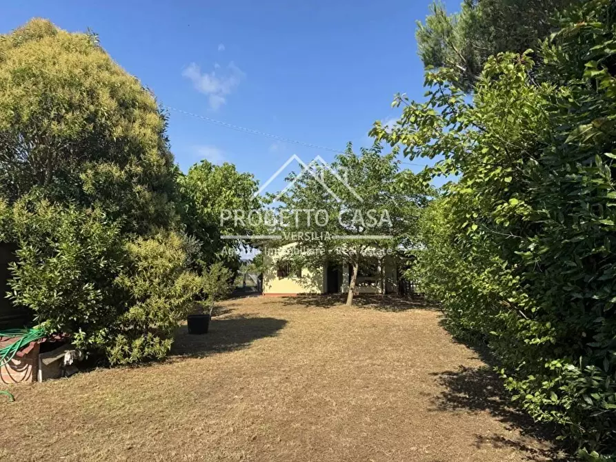 Immagine 32 di Casa indipendente in vendita  in VIA DELLA FERROVIA a Viareggio