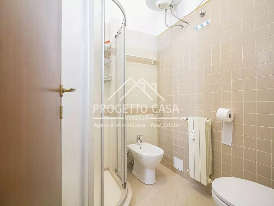 Immagine 37 di Appartamento in vendita  in via icilio sadun a Viareggio