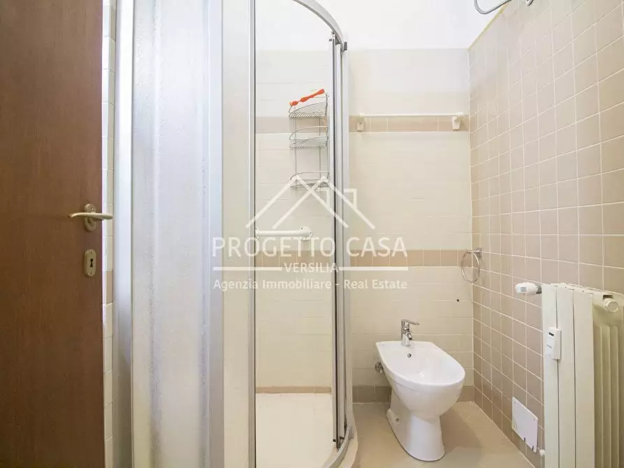 Immagine 38 di Appartamento in vendita  in via icilio sadun a Viareggio