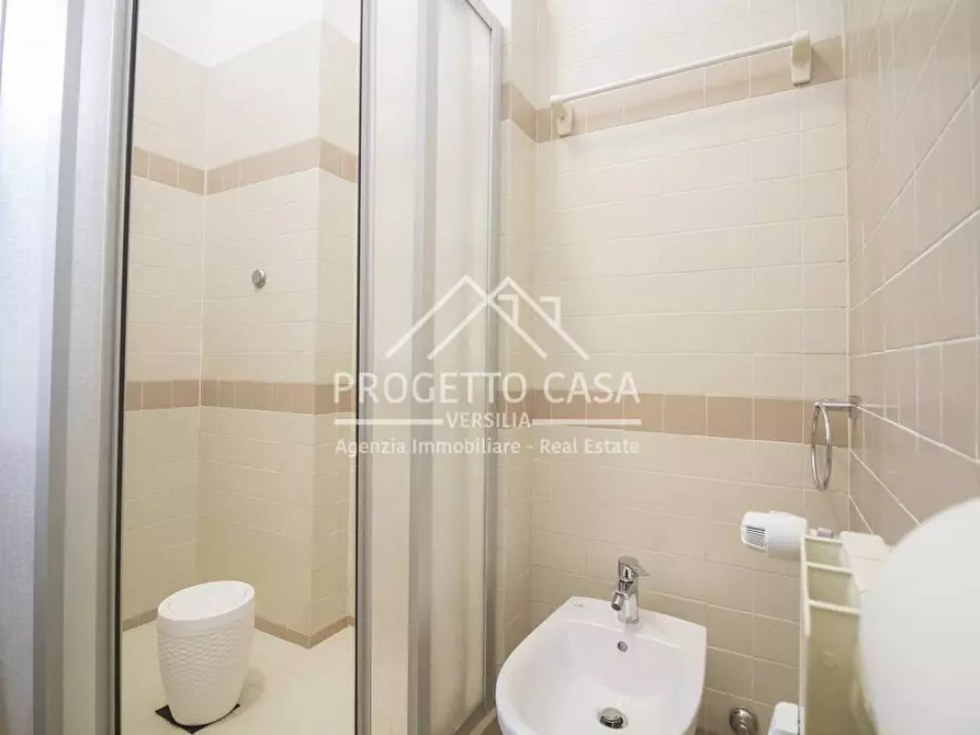 Immagine 39 di Appartamento in vendita  in via icilio sadun a Viareggio