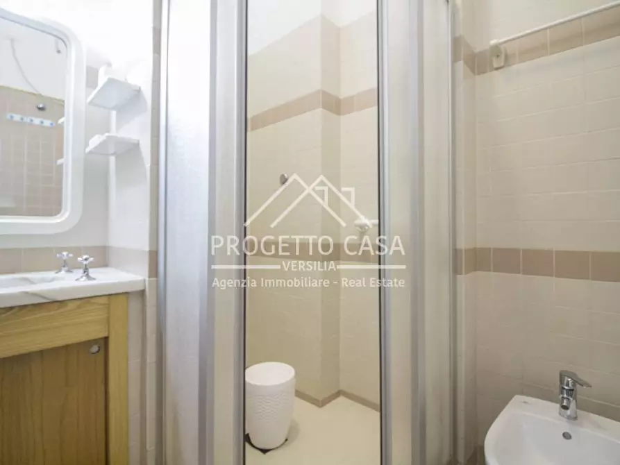 Immagine 42 di Appartamento in vendita  in via icilio sadun a Viareggio