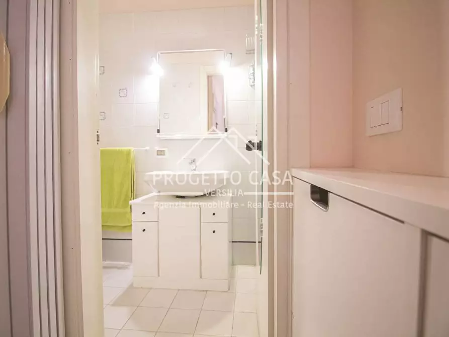 Immagine 19 di Appartamento in vendita  in MICHELE ROSI a Camaiore
