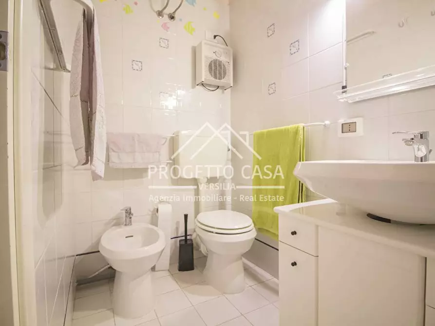 Immagine 21 di Appartamento in vendita  in MICHELE ROSI a Camaiore