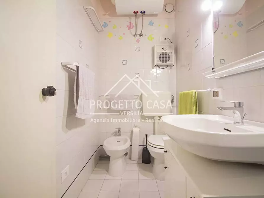 Immagine 22 di Appartamento in vendita  in MICHELE ROSI a Camaiore