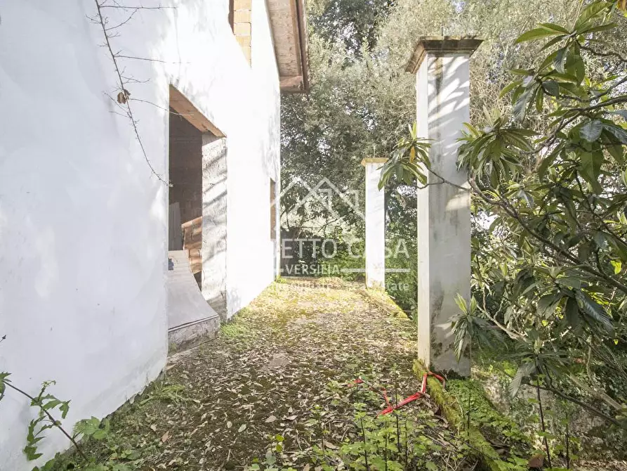 Immagine 24 di Casa indipendente in vendita  in VIA DI CAPEZZANO a Pietrasanta