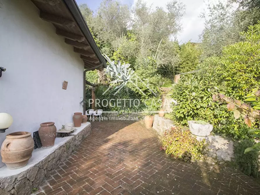 Immagine 34 di Casa indipendente in vendita  in VIA della fonda a Pietrasanta