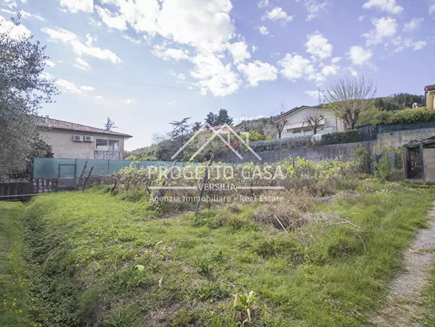 Immagine 35 di Casa indipendente in vendita  in VIA CASA CHECCHI a Pietrasanta