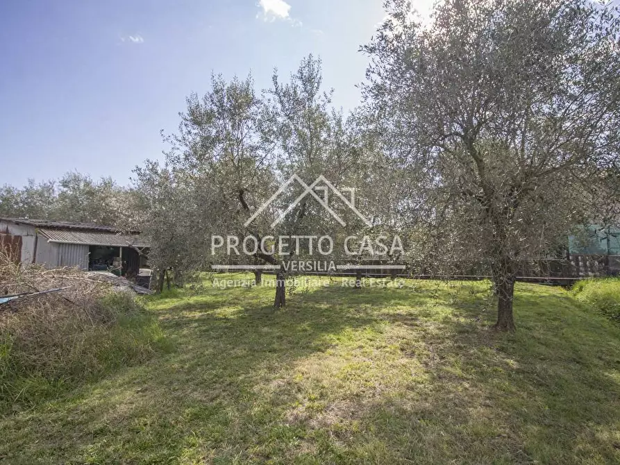 Immagine 36 di Casa indipendente in vendita  in VIA CASA CHECCHI a Pietrasanta