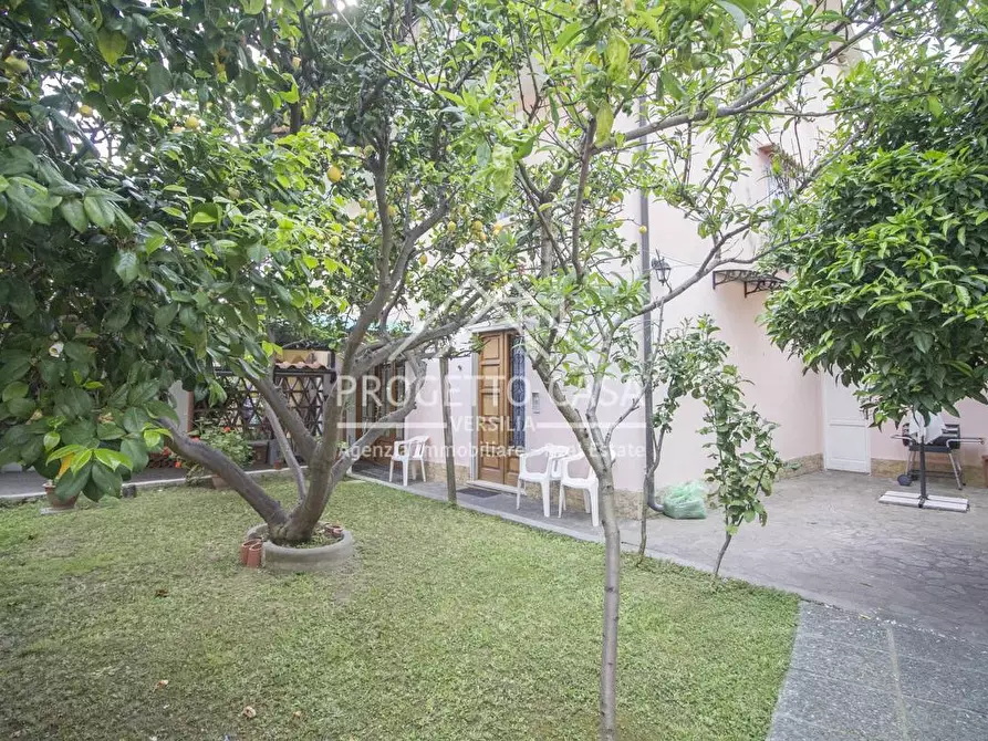 Immagine 43 di Casa indipendente in vendita  in VIA VIRGINIO BIANCHI a Pietrasanta