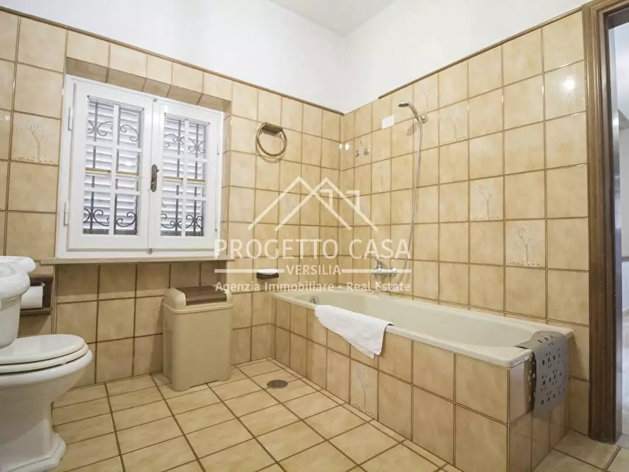 Immagine 42 di Casa indipendente in vendita  in VIA VIRGINIO BIANCHI a Pietrasanta