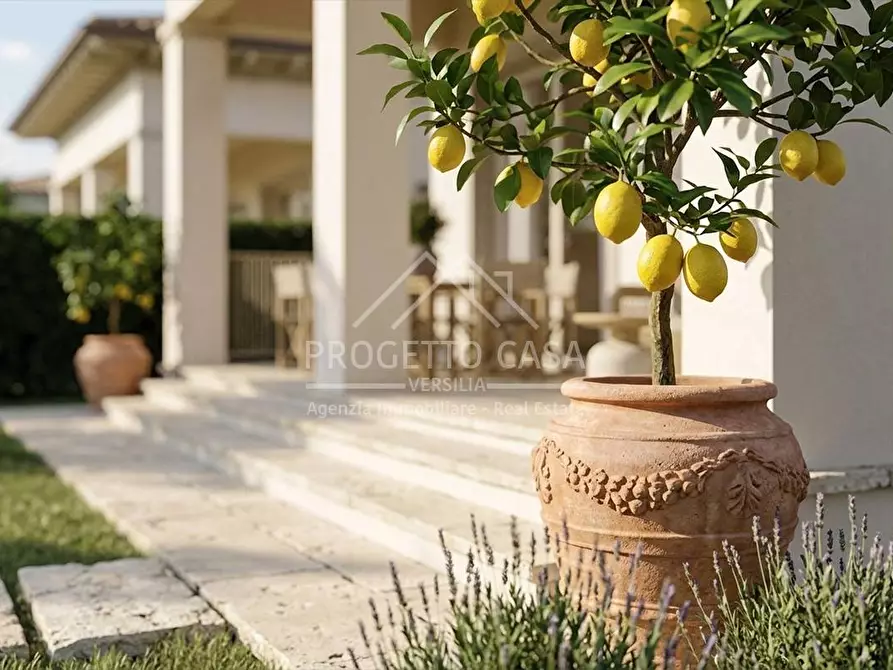 Immagine 31 di Casa indipendente in vendita  in VIA MARCHE a Pietrasanta