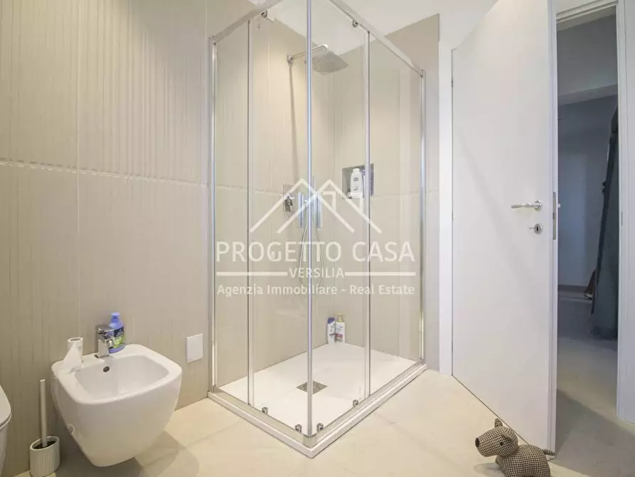 Immagine 24 di Appartamento in vendita  in VIA DEL CIAMPINO a Camaiore