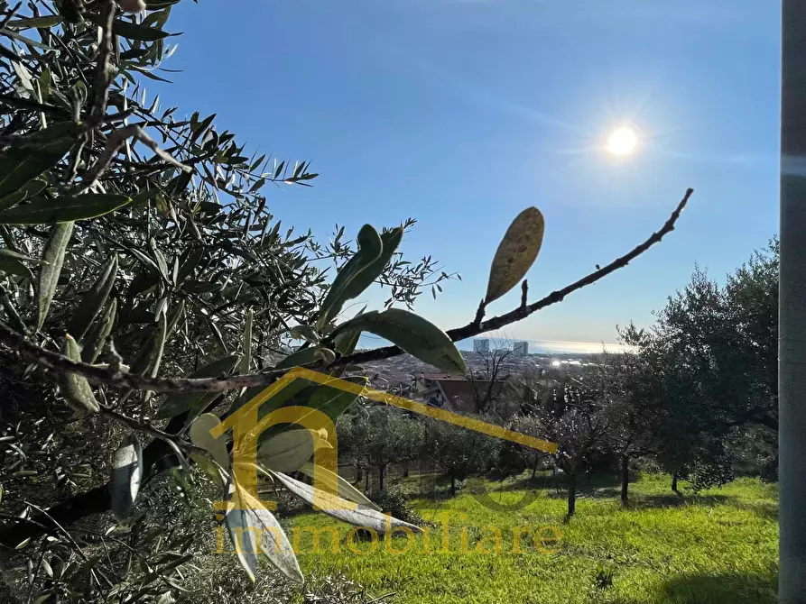 Immagine 2 di Terreno residenziale in vendita  in Contrada San Silvestro 128 a Silvi