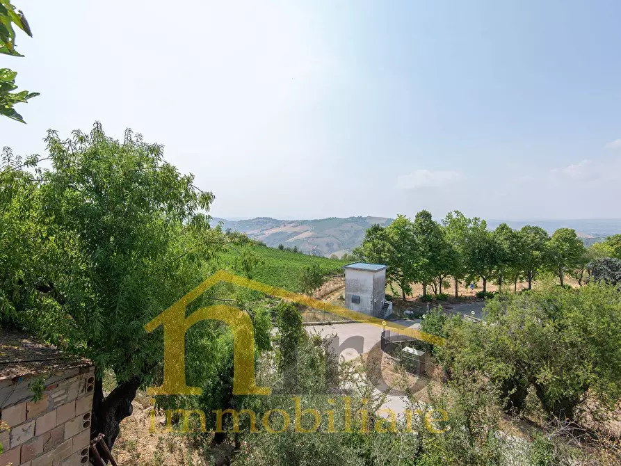 Immagine 15 di Casa indipendente in vendita  in contrada san martino 20 a Atri