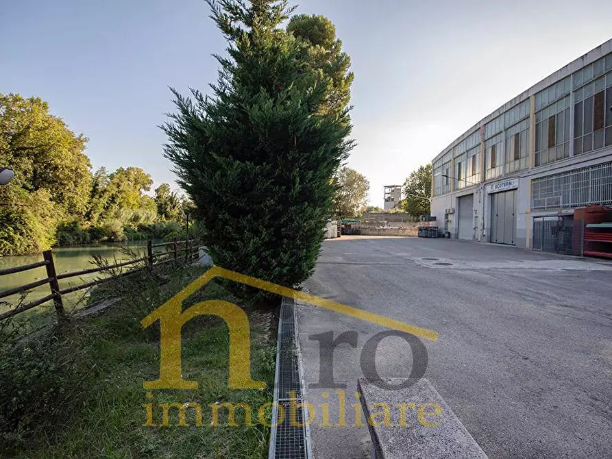 Immagine 19 di Locale commerciale in affitto  in Viale Europa 86 a Spoltore