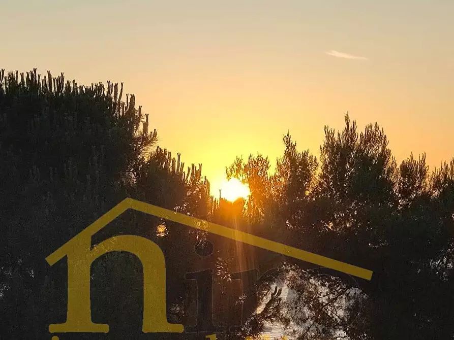 Immagine 22 di Appartamento in vendita  in Via Livenza 21 a Montesilvano