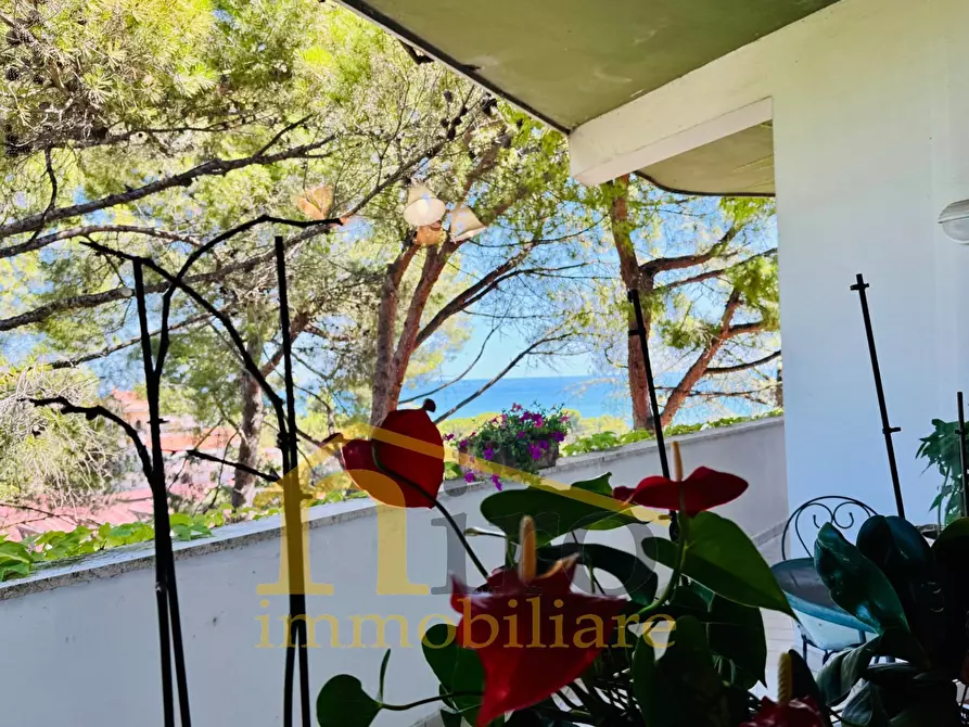 Immagine 11 di Villa in vendita  in Via Colle Pretara 2 a Montesilvano