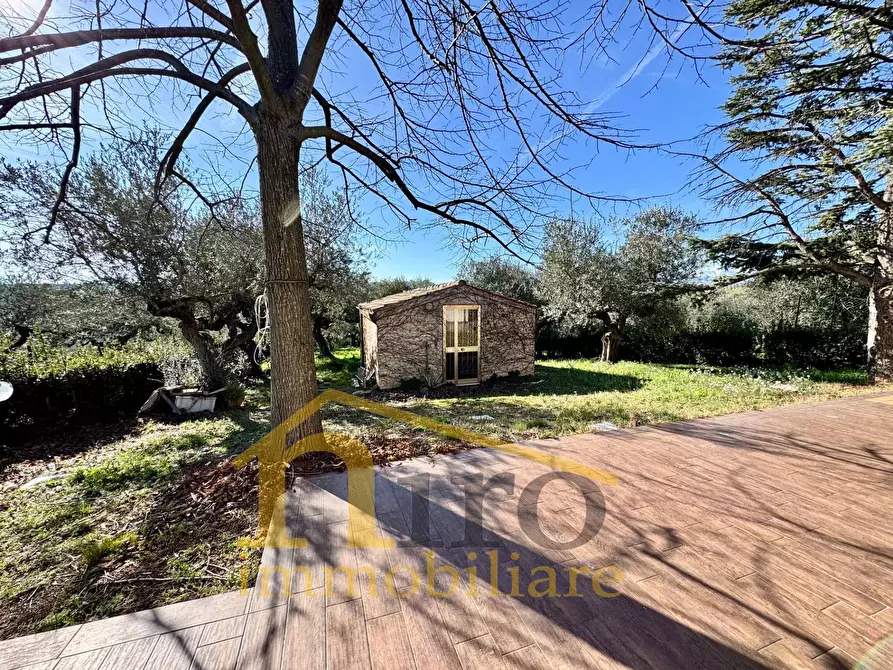 Immagine 7 di Casa indipendente in vendita  in Contrada Senarica 8 a Moscufo