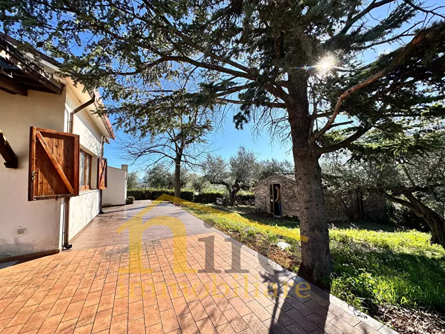 Immagine 4 di Casa indipendente in vendita  in Contrada Senarica 8 a Moscufo