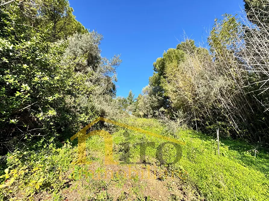 Immagine 2 di Terreno residenziale in vendita  in Via Pianacci 23 a Montesilvano