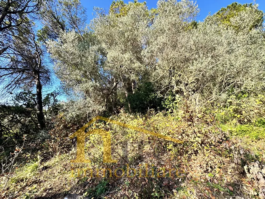 Immagine 5 di Terreno residenziale in vendita  in Via Pianacci 23 a Montesilvano