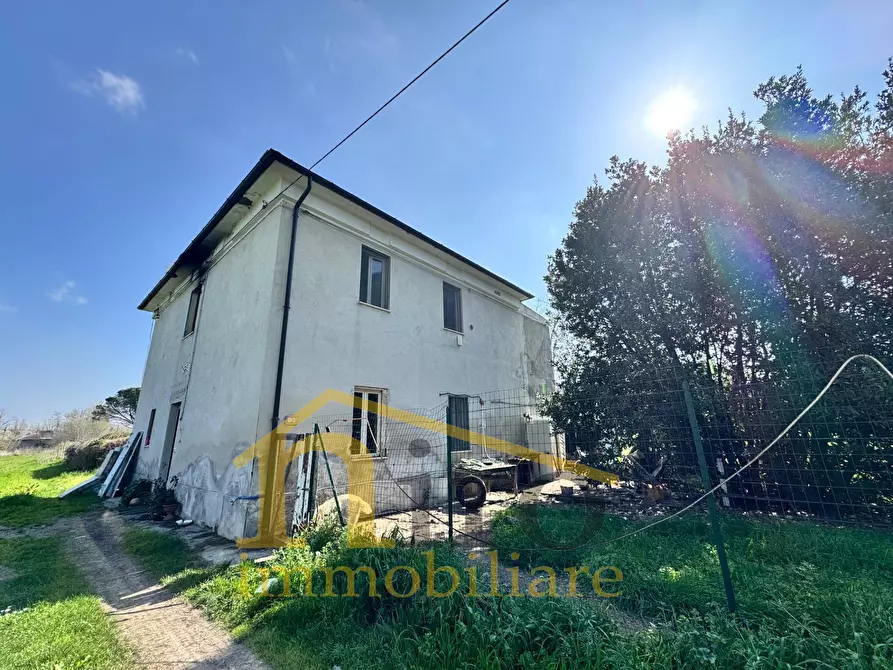 Immagine 1 di Casa indipendente in vendita  in Viale Italia 150 a Collecorvino