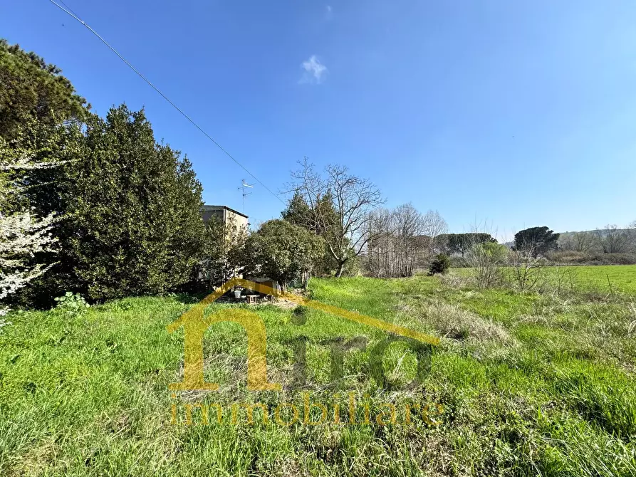 Immagine 13 di Casa indipendente in vendita  in Viale Italia 150 a Collecorvino