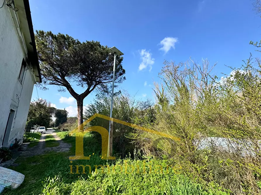 Immagine 14 di Casa indipendente in vendita  in Viale Italia 150 a Collecorvino