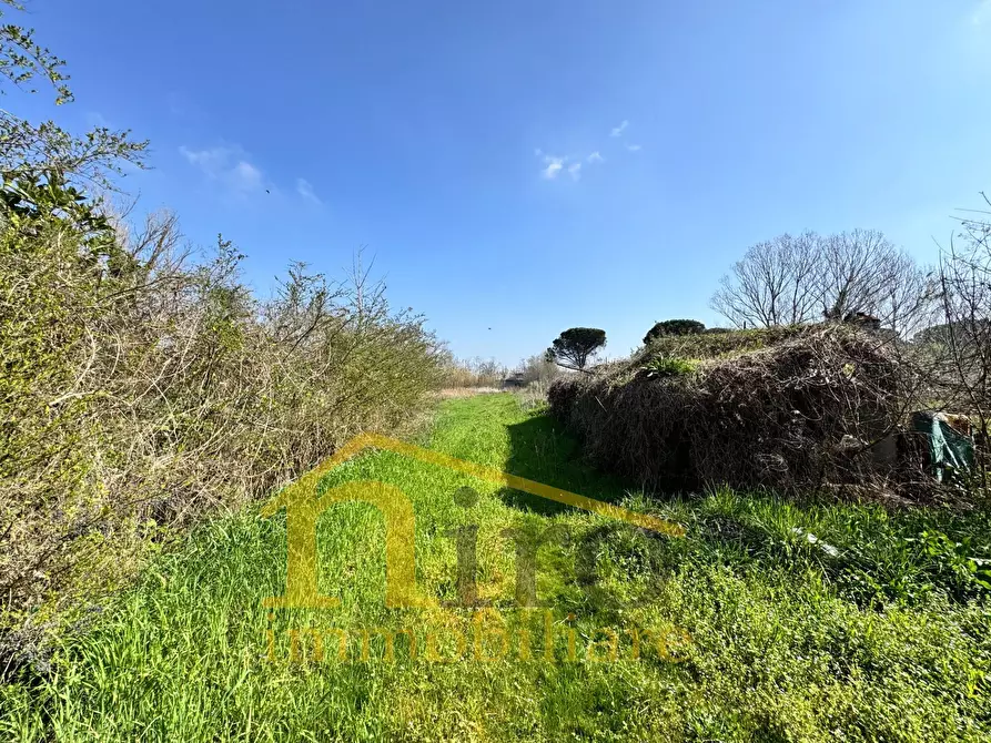 Immagine 15 di Casa indipendente in vendita  in Viale Italia 150 a Collecorvino