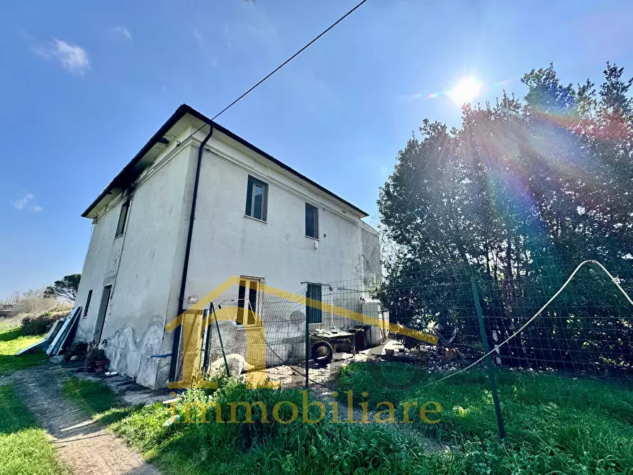 Immagine 16 di Casa indipendente in vendita  in Viale Italia 150 a Collecorvino