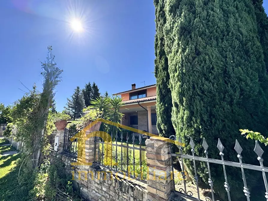 Immagine 5 di Villa in vendita  in Contrada Collina 80 a Nocciano