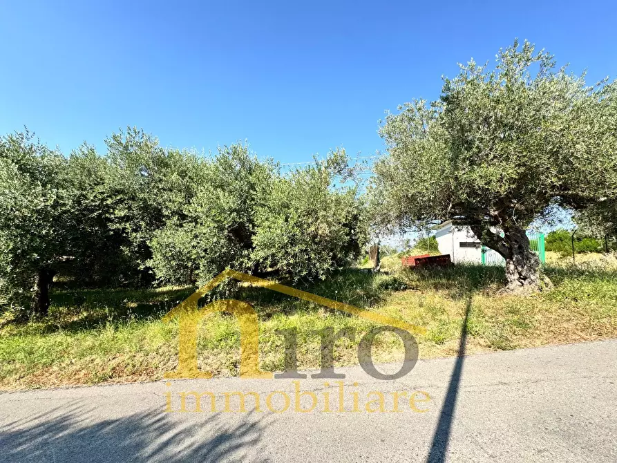 Immagine 2 di Terreno residenziale in vendita  in strada comunale sant'agnello 87 a Elice