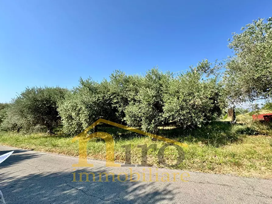 Immagine 3 di Terreno residenziale in vendita  in strada comunale sant'agnello 87 a Elice