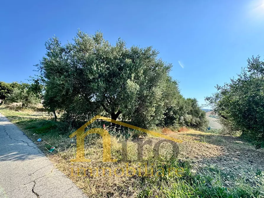Immagine 5 di Terreno residenziale in vendita  in strada comunale sant'agnello 87 a Elice