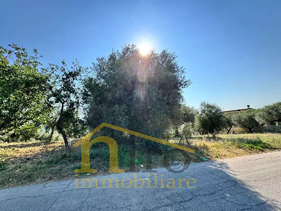 Immagine 8 di Terreno residenziale in vendita  in strada comunale sant'agnello 87 a Elice