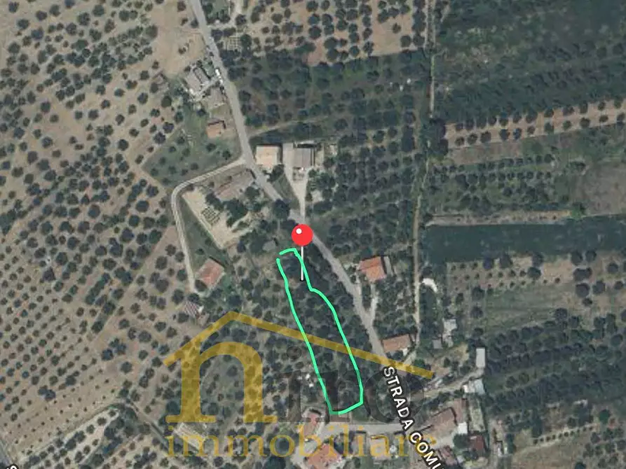 Immagine 9 di Terreno residenziale in vendita  in strada comunale sant'agnello 87 a Elice