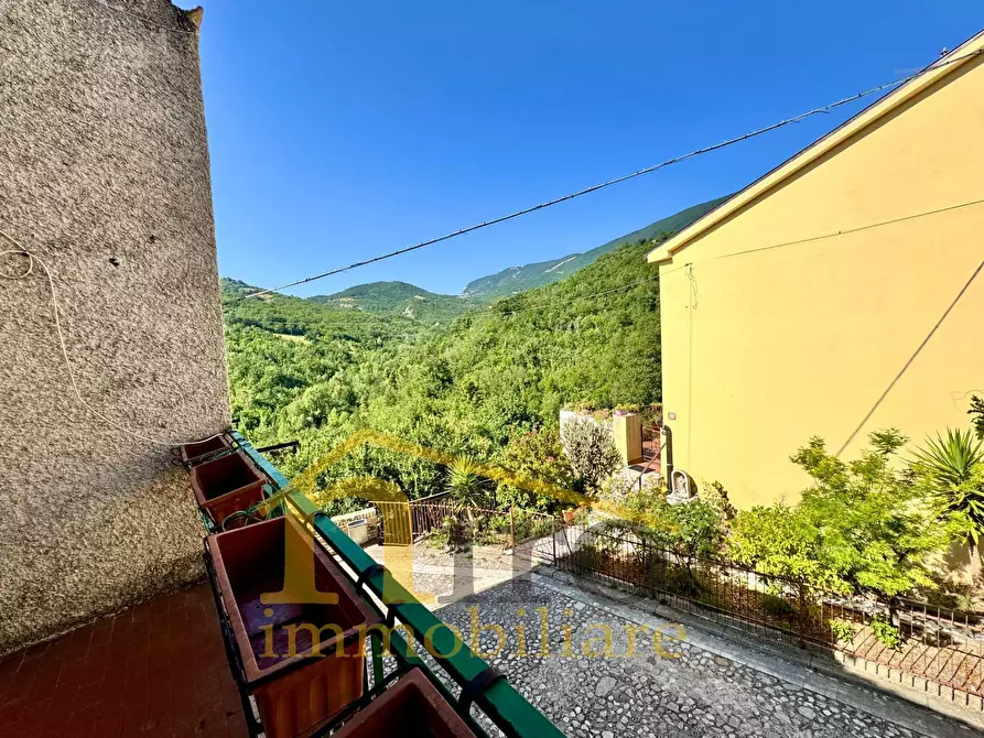 Immagine 19 di Casa indipendente in vendita  in via roma a Carpineto Della Nora