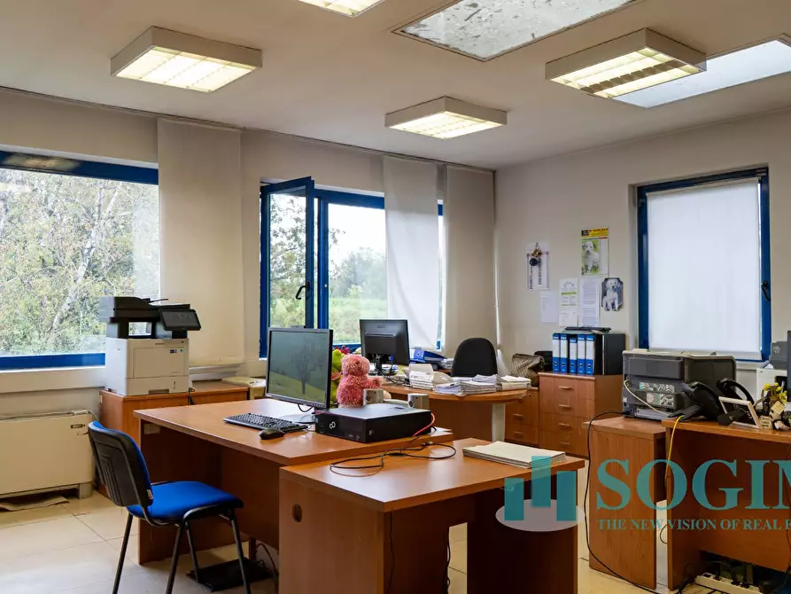 Immagine 6 di Capannone industriale in vendita  in Via Caravaggio a Desio