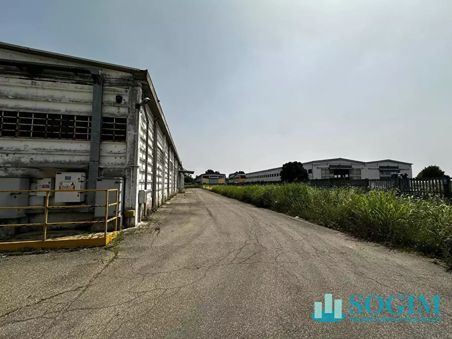 Immagine 3 di Capannone industriale in vendita  a Casalpusterlengo