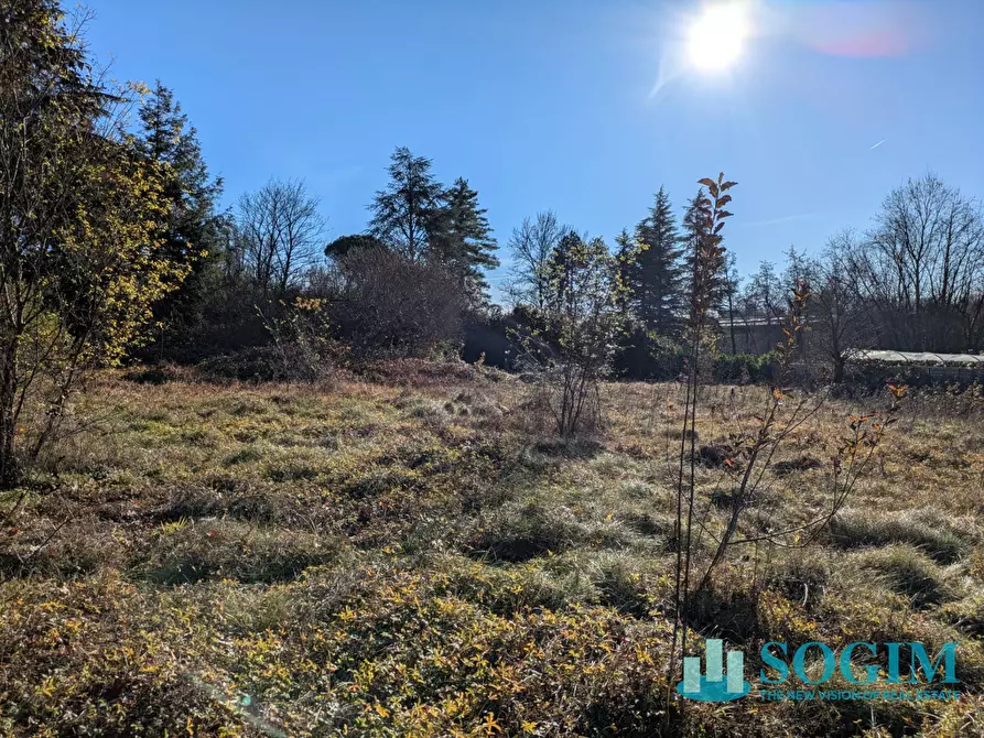 Immagine 10 di Terreno residenziale in vendita  in VIA BELLINI SNC a Monguzzo