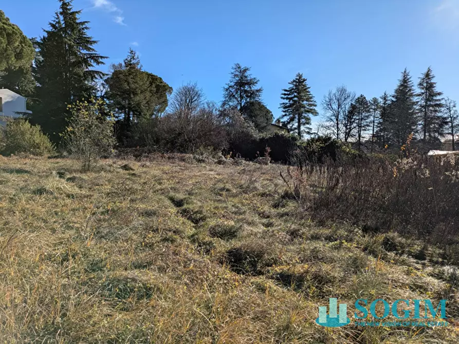 Immagine 11 di Terreno residenziale in vendita  in VIA BELLINI SNC a Monguzzo