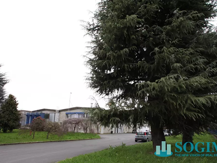 Immagine 43 di Capannone industriale in vendita  in via pascoli 4 a Basiano