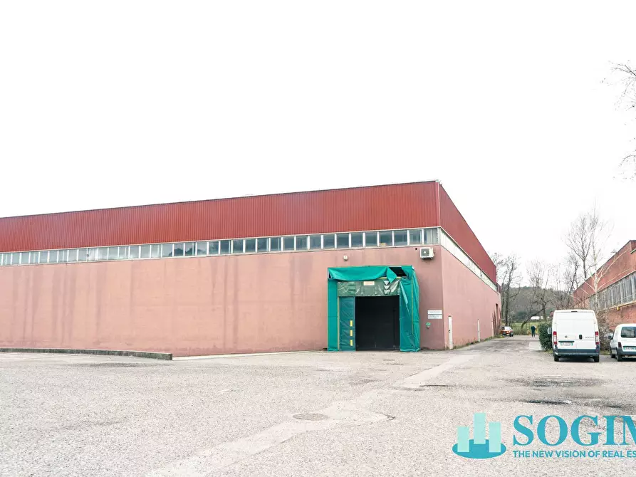 Immagine 2 di Capannone industriale in affitto  in Via Giovanni Paolo II 1 a Colverde