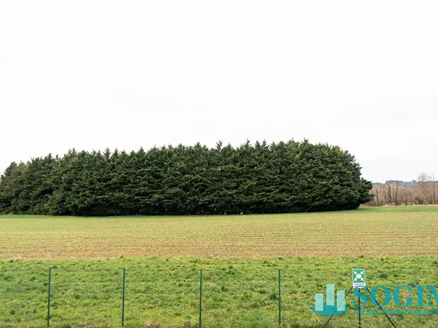 Immagine 3 di Locale commerciale in vendita  in Viale Trieste 14 a Olgiate Comasco
