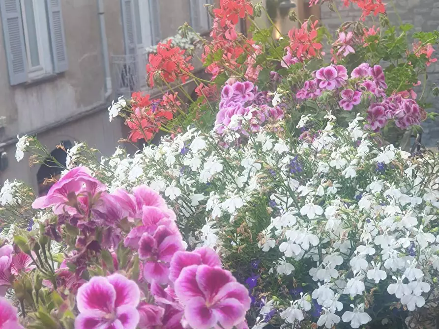 Immagine 10 di Appartamento in vendita  in Via Lambertenghi 4 a Como